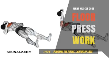 Floor Press Muscles: Targeted Strength Training for Chest and Triceps