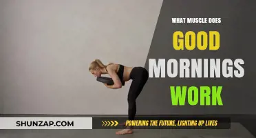 Good Mornings: Targeting Your Posterior Chain Muscles for Strength