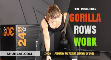 Gorilla Rows: Target Muscles and Benefits Explained