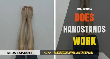 Handstands: Unlocking Strength in Shoulders, Core, and Upper Body Muscles