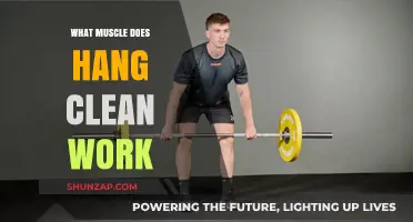Hang Clean Muscles: Unlocking Full-Body Strength and Power