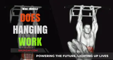 Hanging Exercises: Targeting Muscles for Strength and Flexibility
