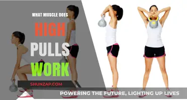 High Pulls: Target Muscles and Benefits for Strength Training