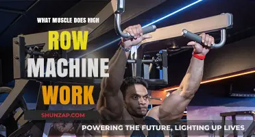 High Row Machine: Target Muscles and Benefits Explained