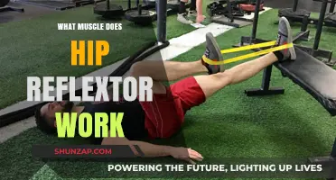 Hip Reflexor Muscles: Targeted Workout Benefits and Techniques Explained
