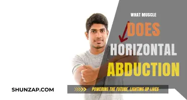 How Horizontal Abduction Targets Your Shoulder Muscles