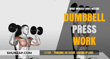 Incline Dumbbell Press: Target Muscles and Benefits Explained