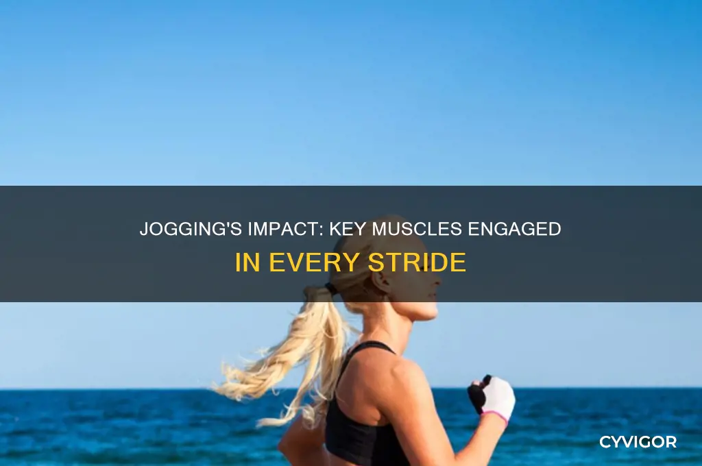 what muscle does jogging work