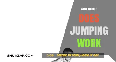 Jumping Benefits: Key Muscles Engaged in Every Leap Explained