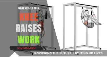 Knee Raises: Targeting Your Lower Abs and Hip Flexors Effectively