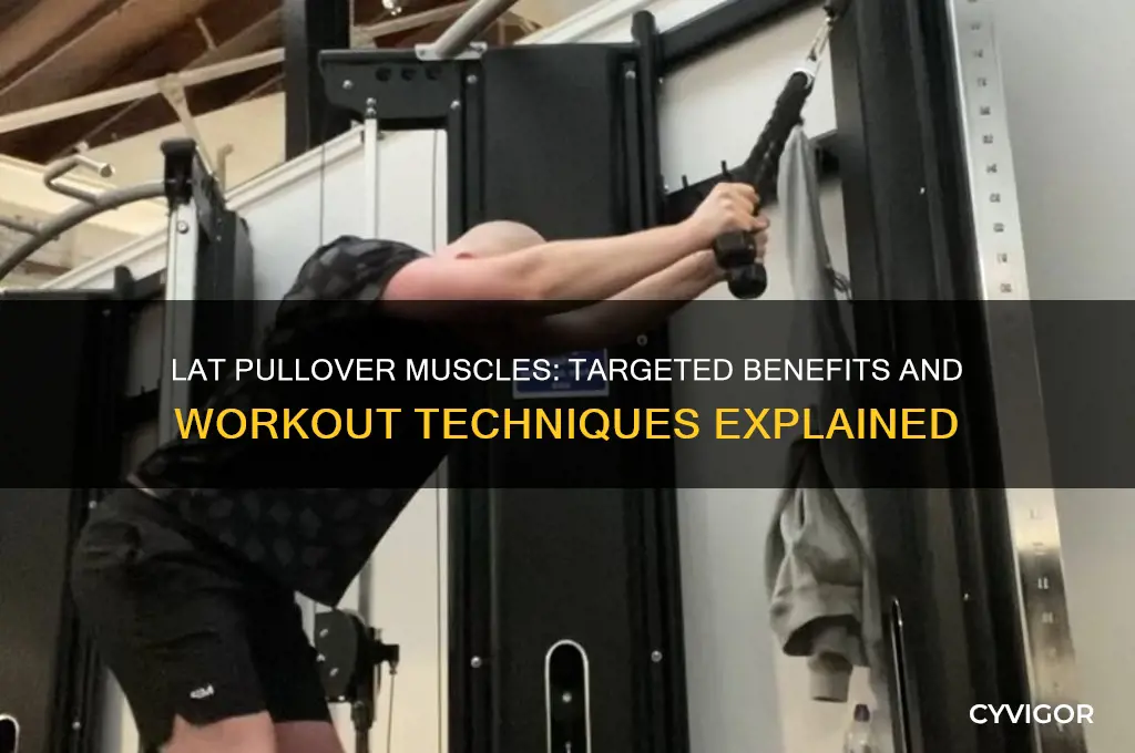 what muscle does lat pullover work