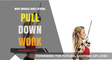 Lateral Pull Down: Targeted Muscles and Effective Workout Benefits