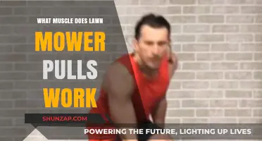 Lawn Mower Pulls: Targeted Muscles and Full-Body Benefits Explained
