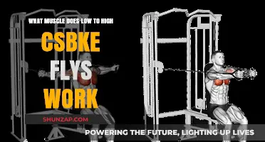 Low to High Cable Flys: Targeted Muscles and Workout Benefits