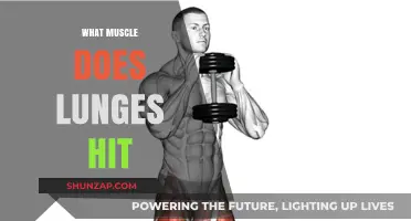 Lunges: Which Muscles Do They Target?