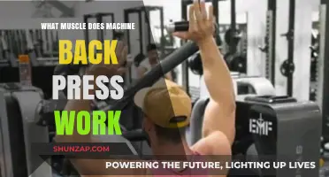Machine Back Press: Target Muscles and Effective Workout Benefits