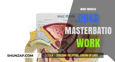 Masterbation's Muscle Impact: Exploring the Physical Effects of Self-Pleasure