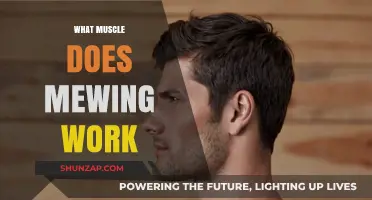 Mewing's Impact: Targeted Muscles for Facial Structure Enhancement Explained