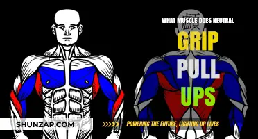 Neutral Grip Pull-Ups: Targeted Muscles and Benefits Explained