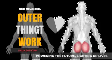 Outer Thigh Workouts: Targeting Muscles for Toned and Strong Legs