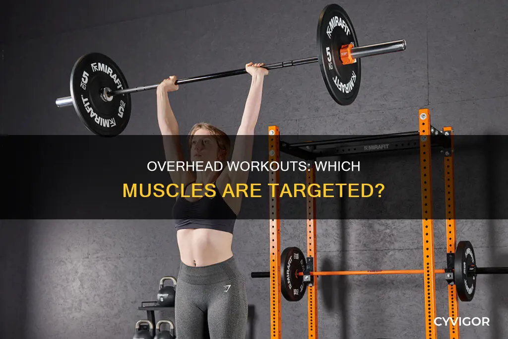 what muscle does overhead