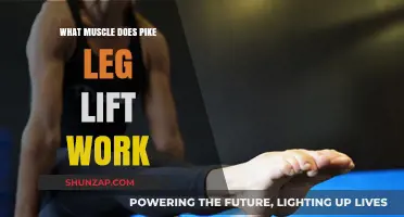 Pike Leg Lift: Targeting Core, Hip Flexors, and Lower Abs