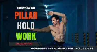 How Pillar Holds Strengthen Core Muscles and Improve Stability