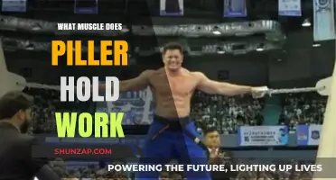 What Muscles Does the Piller Hold Workout Target and Strengthen?