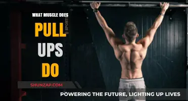 Pull-Ups: Target Muscles, Benefits, and Proper Form Explained