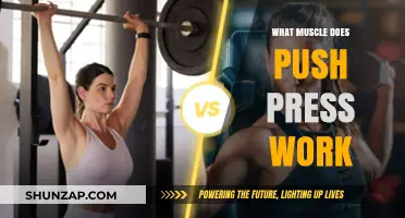 Push Press Power: Targeted Muscles and Strength Benefits Explained