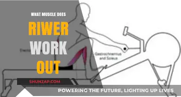 Rowing Workouts: Target Muscles and Full-Body Benefits Explained