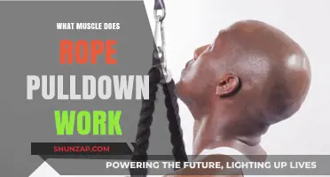 Rope Pulldown: Target Muscles and Benefits Explained