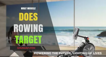 Rowing Workouts: Targeting a Full-Body Muscle Experience
