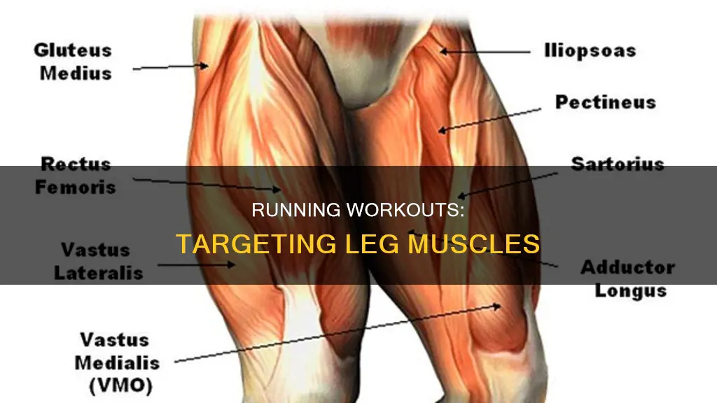 what muscle does running target