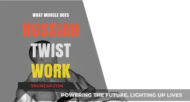 Russian Twist: Targeting Your Core Muscles for Strength and Stability