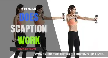 Scaption Exercise: Targeting Shoulder Muscles for Strength and Stability