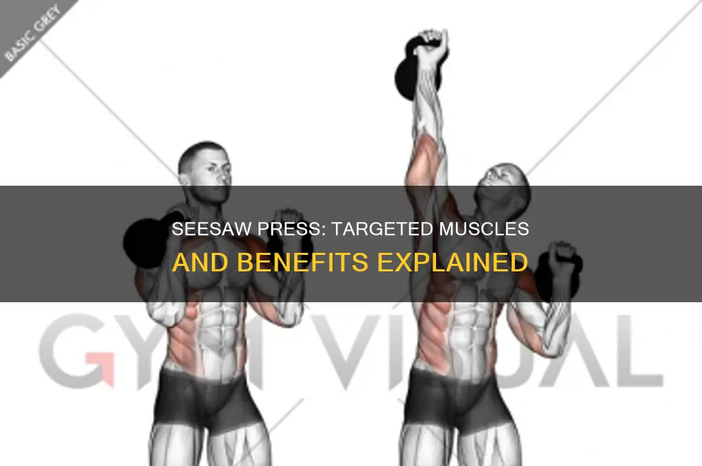what muscle does seesaw press work