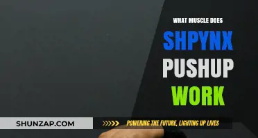 Sphinx Pushup Benefits: Targeted Muscles and Strength Training Explained