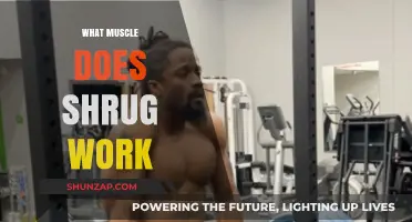 Shrug Exercise Benefits: Targeting Muscles for Strength and Posture