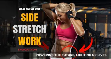 Side Stretch Benefits: Targeting Obliques and Core Muscles Effectively