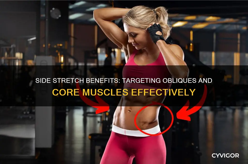 what muscle does side stretch work