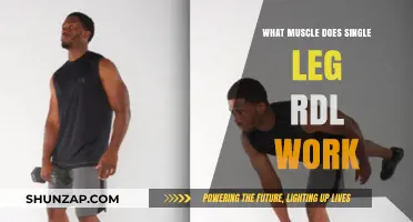 Single Leg RDL: Target Muscles and Benefits Explained