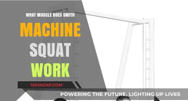 Smith Machine Squat Muscles: Targeted Workout Benefits Explained