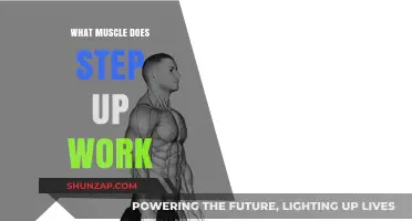 Step Up Workout: Targeting Key Muscles for Strength and Tone