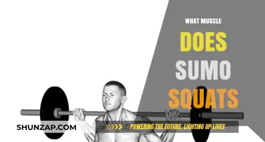 Sumo Squats: Targeting Your Inner Thighs and Glutes