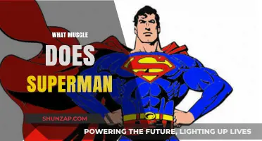 Superman Exercise: Which Muscle Groups Does It Target?