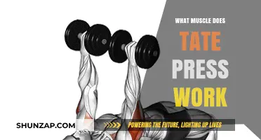 Tate Press Muscles: Targeted Benefits and Effective Workout Techniques
