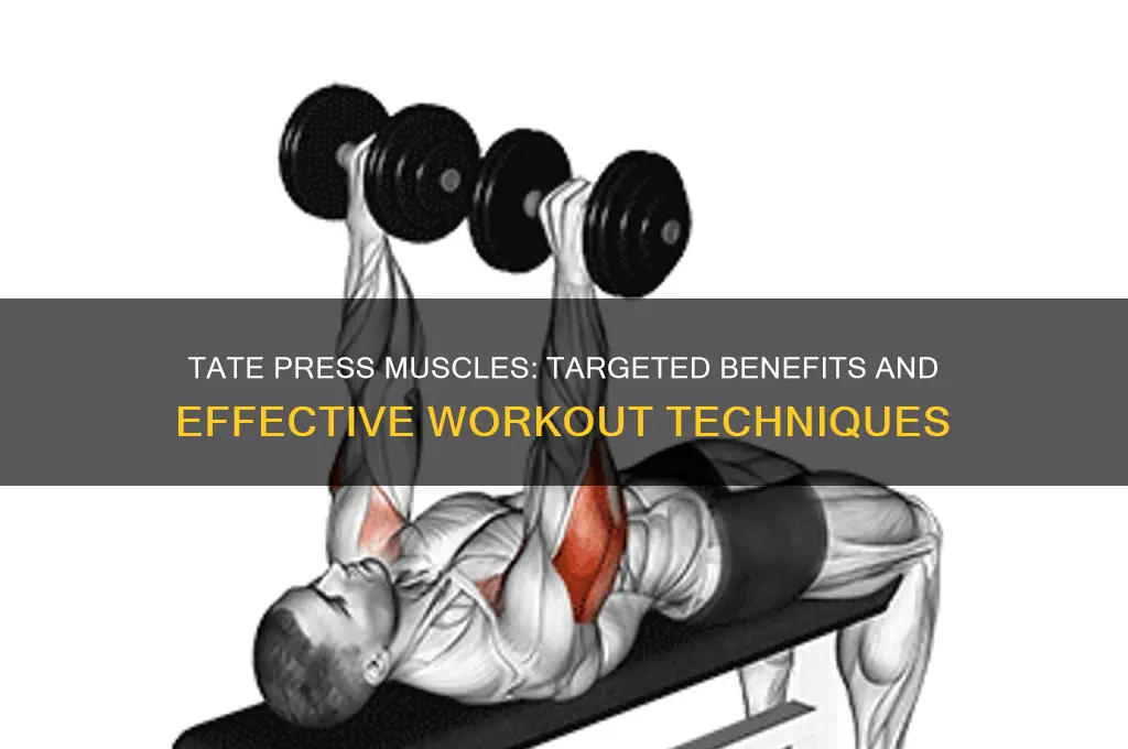 what muscle does tate press work