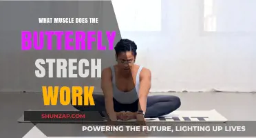 Butterfly Stretch Benefits: Targeting Inner Thighs, Groin, and Hip Flexors