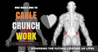 Cable Crunch Muscles: Targeting Your Core for Maximum Strength
